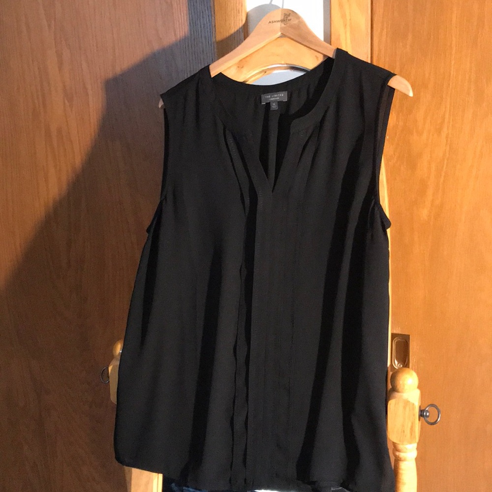 The Limited sleeveless sheer blouse